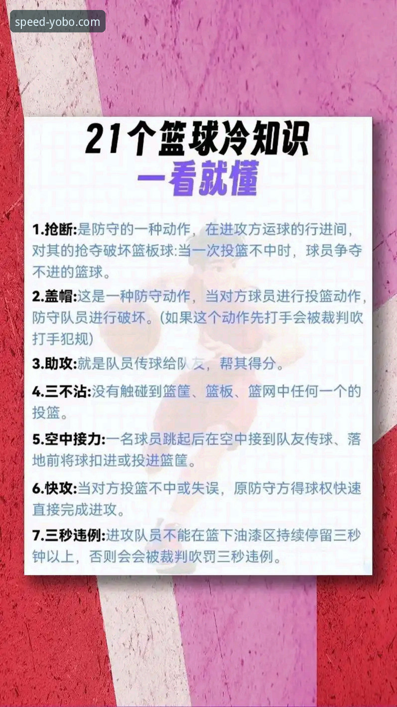 YOBOTIYU篮球数据功能详解：新手必看的实用指南